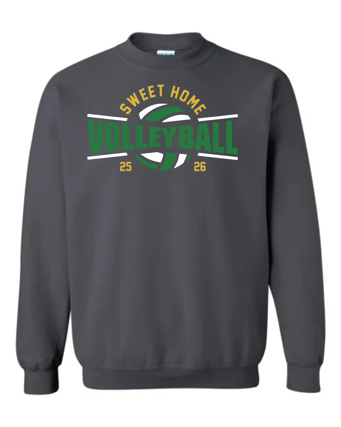 Volleyball 25/26 Design