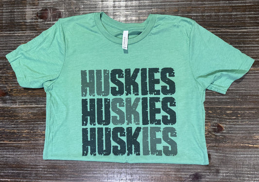 Huskies in Gray and Black